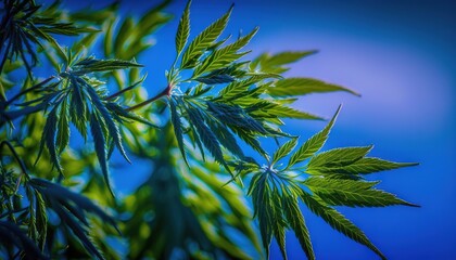  a close up of a green leaf on a tree with a blue sky in the background of the image is a blurry background.  generative ai