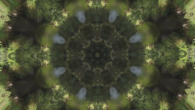 M&aacute;ndala con elementos de arboles y bosques que van creando im&aacute;genes repetitivas en distintas formas y dibujos en tonos verdes
