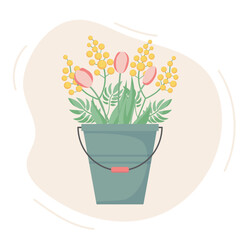 Spring bouquet of mimosas and tulips in a bucket. Cute vector illustration. Flat style.