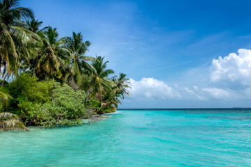 Fototapeta na wymiar Beautiful Maldives island, beach with palm trees and azure water. Vacation concept travel holiday background banner. Maldives paradise beach. Luxury travel to tropical paradise.