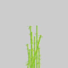 Fototapeta na wymiar bamboo sticks