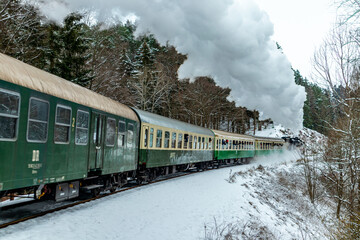 Unterwegs mit den Sonderzug Rodelblitz im Thüringer Waldes bei Schmalkalden - Thüringen - Deutschland
