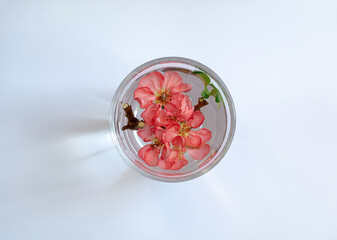 Fototapeta na wymiar Pink Chaenomeles flowers floating in a glass.