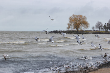 Winter at Edgewater Park in Cleveland, Ohio