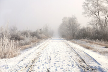 Obraz na płótnie Canvas Mysterious Foggy Winter Road Leading Down Misty Path