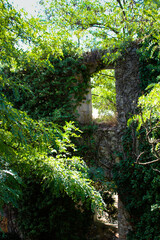 two windows, one on top of the other, set in a medieval wall covered with vivid green vegetation
