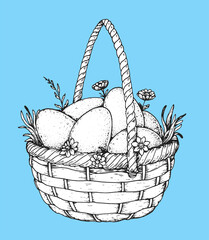 Fototapeta premium Basket with eggs illustration. Hand drawn vector illustration. Basket with eggs sketch. Design element.