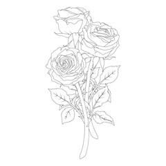 Bouquet composition of a rose in line art style.
