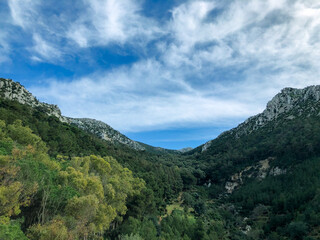 Stunning and breathtaking view of the lush and verdant forest landscape, capturing its serene beauty, seclusion, and peacefulness