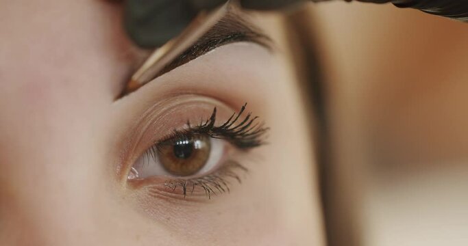 A professional cosmetologist makes make-up. Face of a young girl close-up. Dyeing eyebrows with henna apply applying. A beautician does henna eyebrow tinting for the young woman.