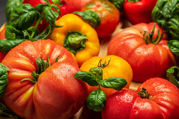 Fototapeta na wymiar fresh tomatoes, pepper and basil. Healthy food. Gardening. top view