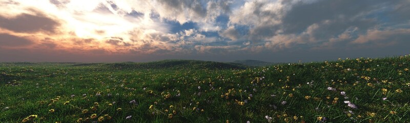 Panorama of a blooming spring meadow, flowers and grass under the sky at sunset, 3d rendering