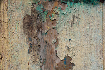 weathered paint on old wood, texture
