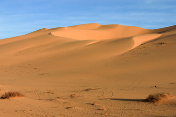 SAHARA DESERT IN ALGERIA AND SAND DUNES AROUND DJANET OASIS AND ERG ADMAR