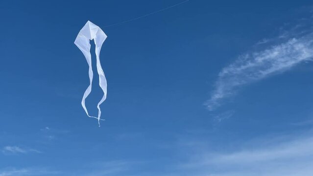 Pure white ghost-like kite flies near orange red kite in a brilliant blue sky