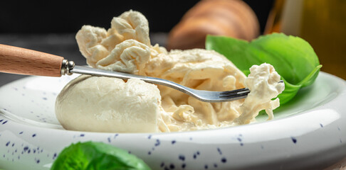 fresh handmade soft Italian cheese from Puglia, white balls of burrata or burratina cheese Basil...