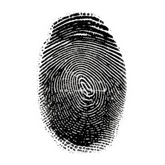 Identity fingerprint on white background