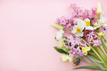 Blossoming white and light yellow daffodils, pink hyacinths and spring flowers festive background, bright springtime bouquet floral card