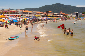 FLORIANOPOLIS, BRAZIL - JANUARY 21, 2023 : crowded beach Praia da Barra da Lagoa in Florianopolis, Brazil