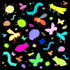 Insects, vector illustration. Butterfly, caterpillar, dragonfly, cricket, beetle, frog, bee, bumblebee, ladybug, bright colored multicolored