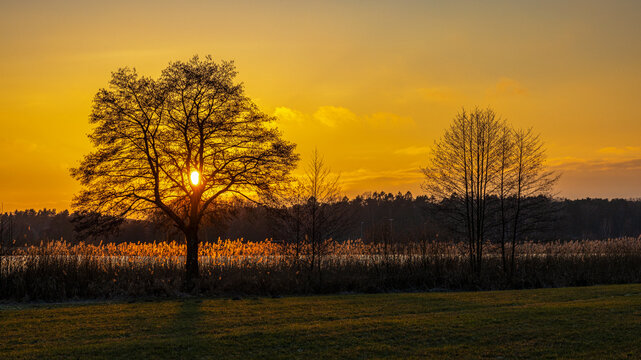 Sonnenuntergang am Grimnitzsee - Joachimsthal