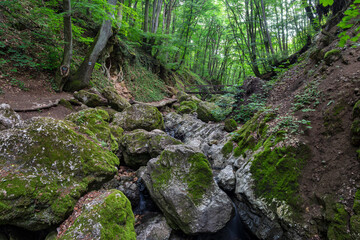 Fototapeta na wymiar Dera Gorge in Pilis mountains in Hungary