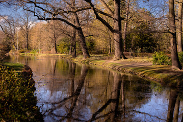 Fototapeta na wymiar Huge old oaks above river. Oak trees reflecting in the water surface. Early Spring Wroclaw City Park Landscape. 