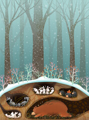 Forest animals sleeping in dens and burrows under winter forest trees and roots. Art for children. Bear, raccoon rabbits and mouse sleep in burrows. Cute animals wallpaper illustration for kids. - 571364718