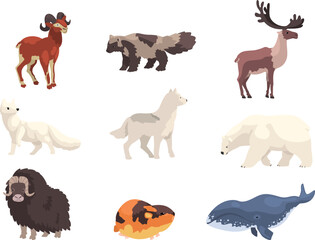 Polar animals set. Bear, musk ox, seal, polar fox, reindeer wild animal vector illustration