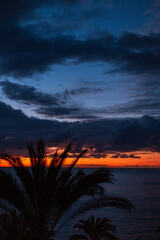 Fototapeta premium Amazing dark blue sky with red sunrise with palm trees near the ocean in Madeira island