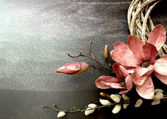 Magnolien Weidenk&auml;tzchen