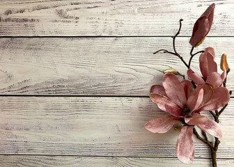 cherry blossom on wooden background
