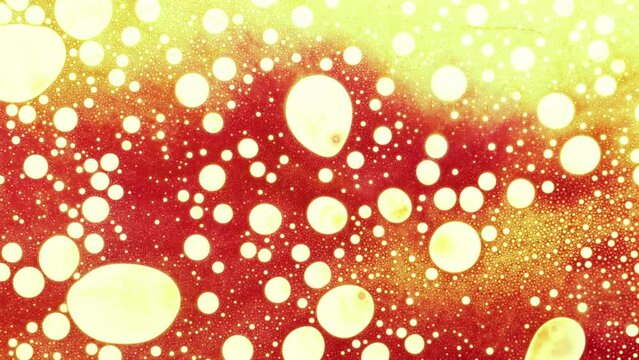 Fantastic structure of bubbles, chemical reactions. Chaotic motion, bubble flow expansion, curlicue of ink. Marangoni effect, phenomenon. Biological research, Moving particles, ink diffusion.