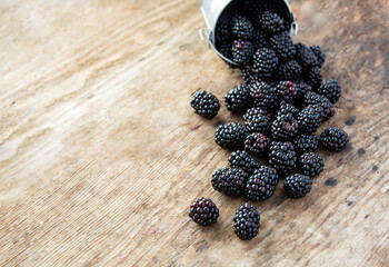 organic blackberry fresh berries on an old wooden table