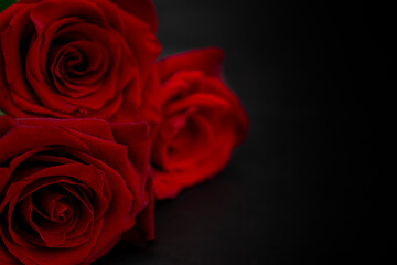 Three red roses on a black background. Copy space.