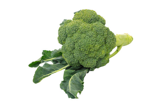 Broccoli isolated on transparent background. Fresh raw broccoli PNG