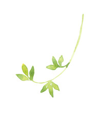 Watercolor spring floral leaf, twig, branch, stick, floral illustration, flower clipart. . Create Floral frame, wreath, chaplet, wedding invitation, stationery, save the date, print,poster, pattern