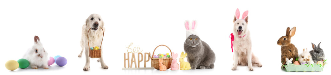 Set of cute animals with Easter eggs on white background