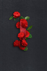 Lettera rossa con fiori su sfondo bianco
