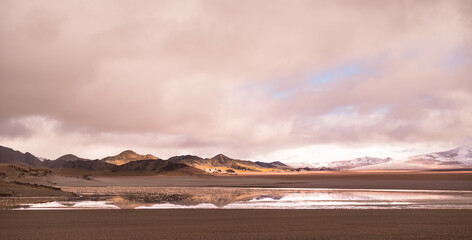 Laguna Grande, Argentina, salar con flamencos