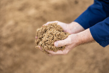 Hands of male farmworker holding handful of brewers grains on background of large pile. Organic waste used as livestock feedstuff