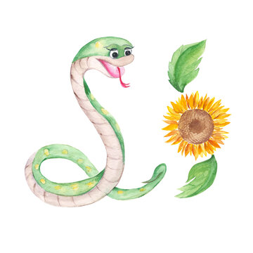 Cute snake and sunflower isolated on white background. Watercolor hand drawn illustration. Perfect for kid illustrations, prints, decals, stickers.