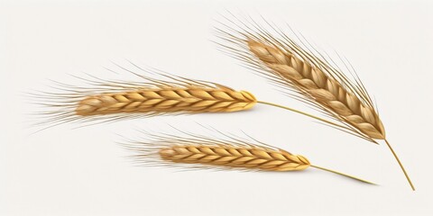 Wheat ears isolated on white background. Package design element with clipping path. Full depth of field. Generative AI