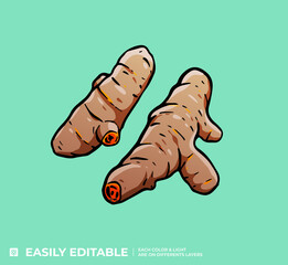 Curcuma Jaune Illustration Vecteur