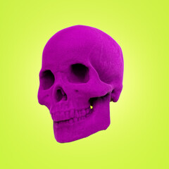 A 3D human skull covered with a fuzzy velvet texture. - 571390564