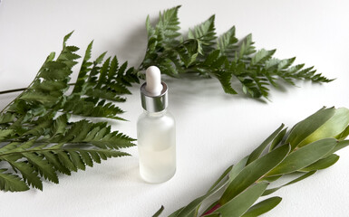 Obraz na płótnie Canvas spa still life. dropper with anti-aging liquid. Skincare. Dropper on the background of tropical leaves