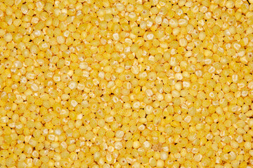 Millet ground, grits from round yellow grains seeds in bulk, close-up, background wallpaper, uniform texture pattern