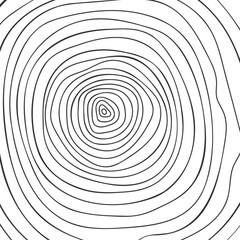 Trunk cross section texture. Topographic design. Tree rings in doodle style. Wooden surface hand drawn stamp isolated on white background. Vector outline illustration