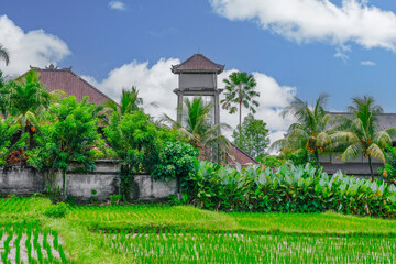 Beautiful Bali landscape with rice fields and water tower