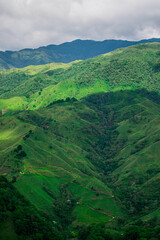 Green landscape in the city of Colombia, Colombian mountains , trees, summer, hike